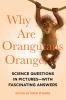 Why_are_orangutans_orange_