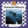 Bowhead_whales